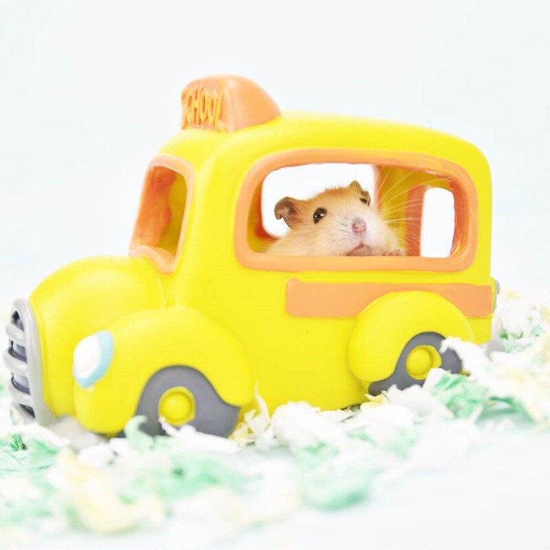 Alice  奇趣倉鼠屋 - 陽光巴士