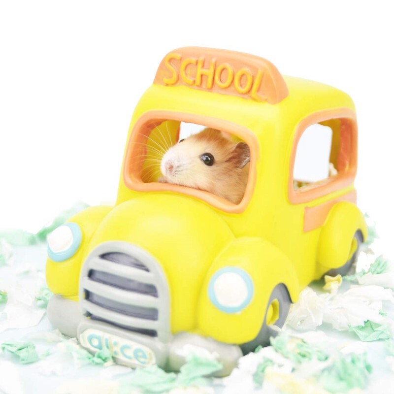 Alice  奇趣倉鼠屋 - 陽光巴士