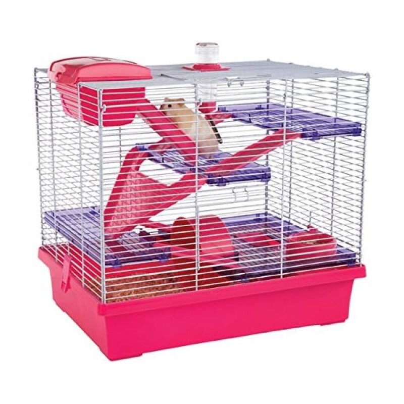 Rosewood 比高XL熊仔樂園 - 粉紅色