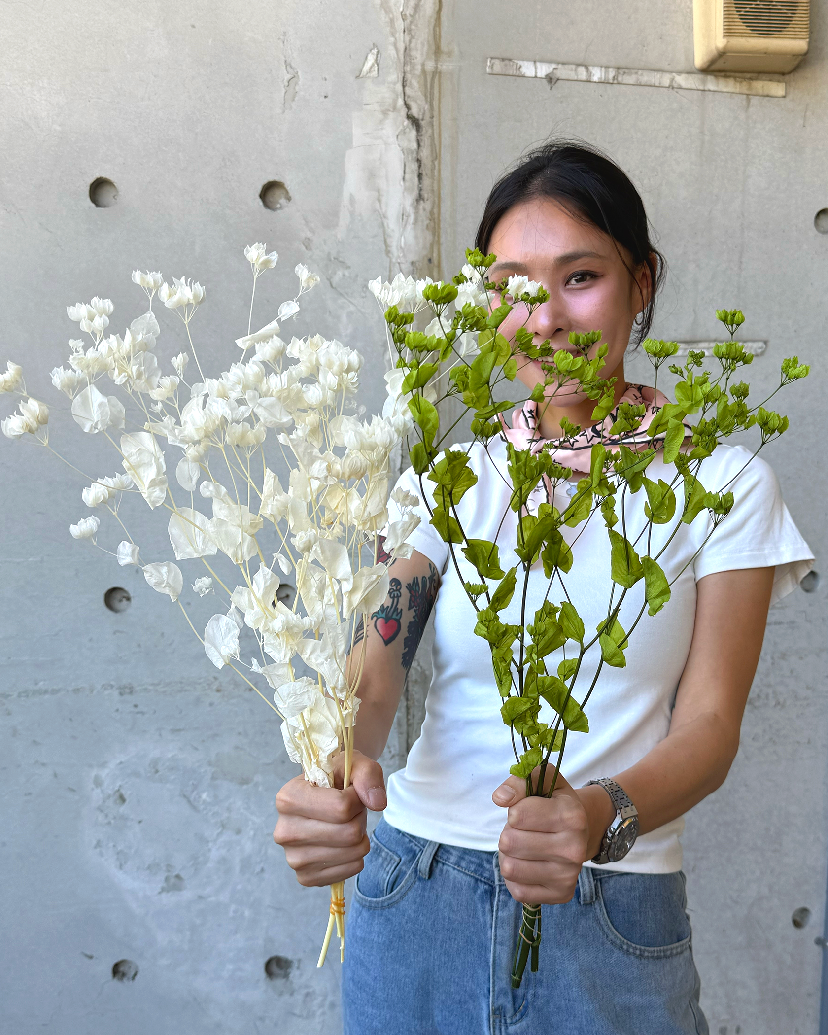 日本永生金翠花、柴胡葉