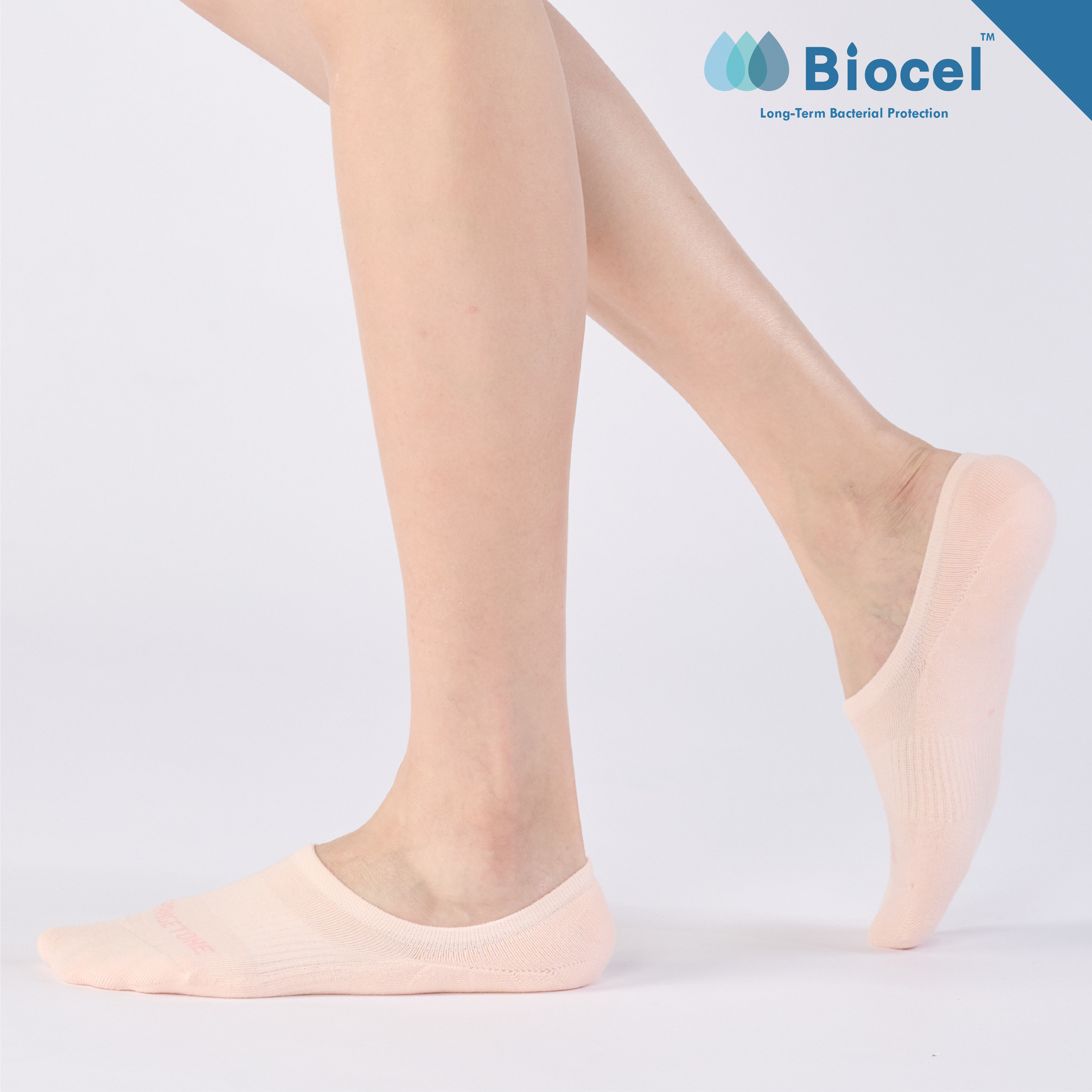 雲上的日子〈粉〉