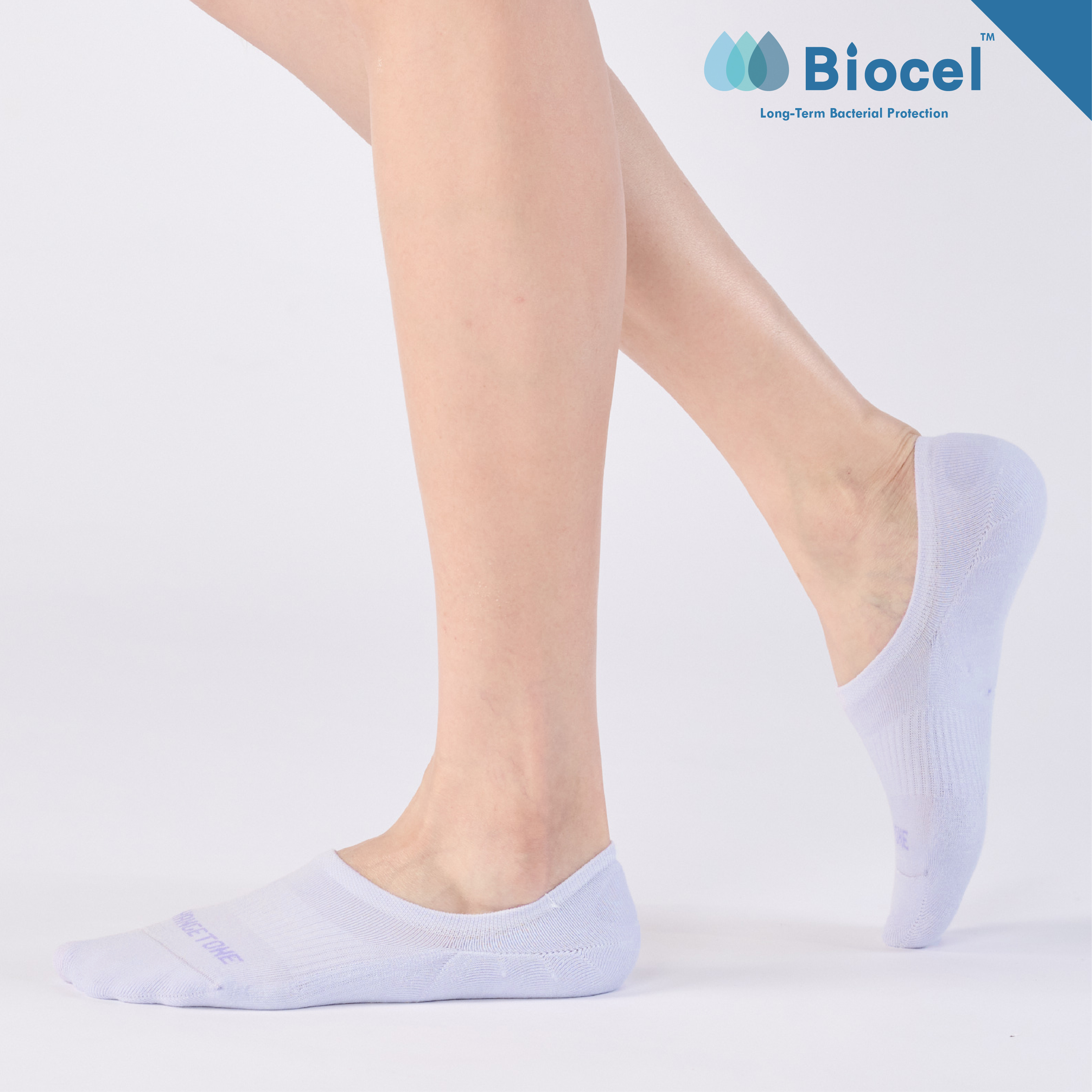 雲上的日子〈中紫〉