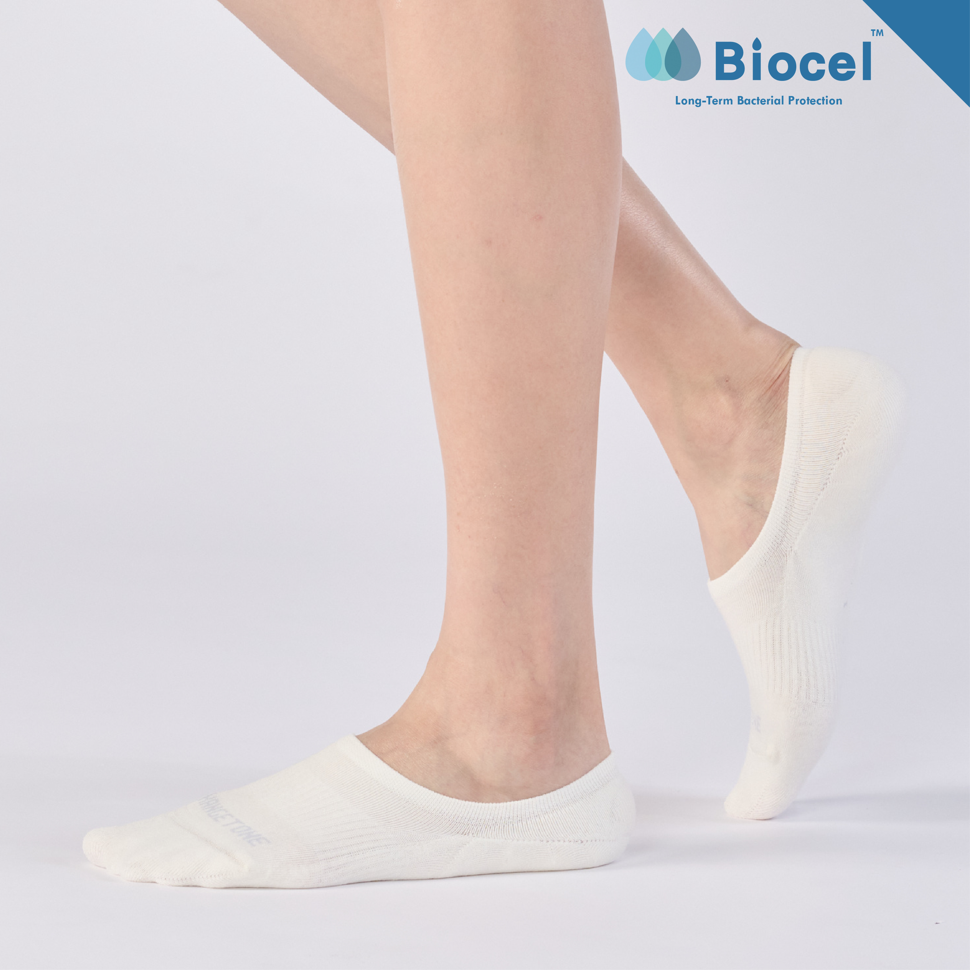 雲上的日子〈米〉