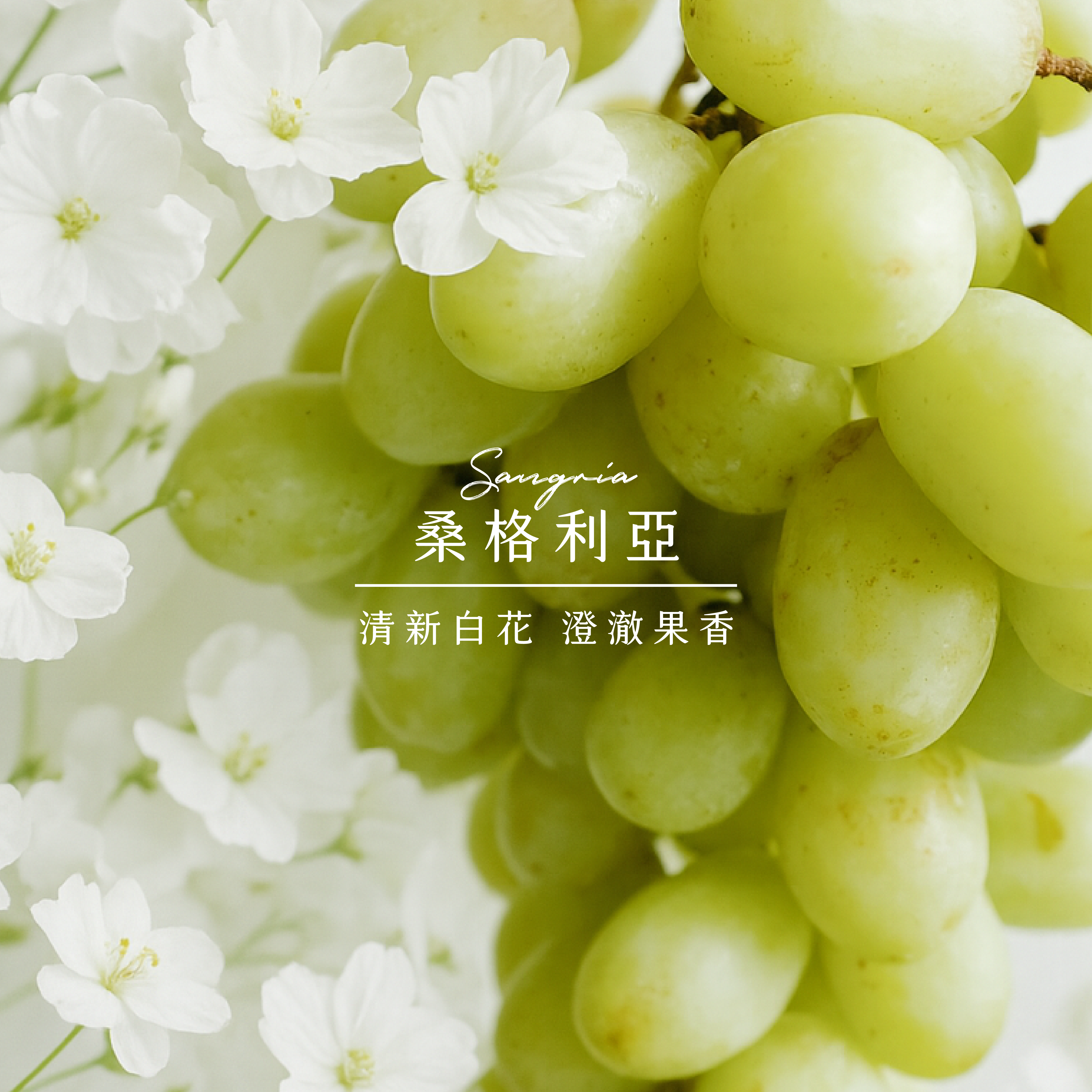 桑格利亞｜獨家手沖配方｜200g