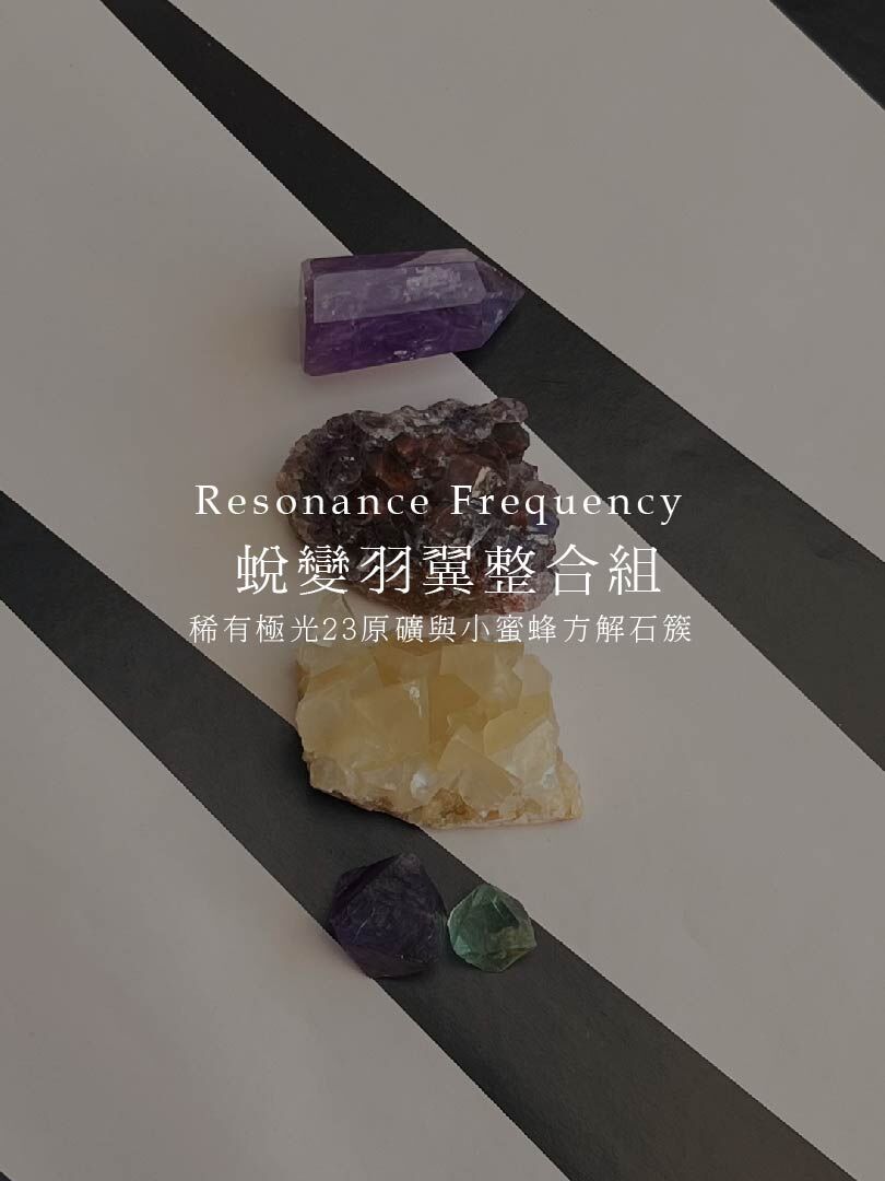 蛻變羽翼整合組