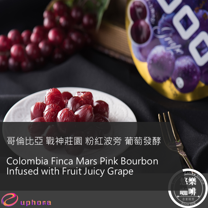 哥倫比亞 戰神莊園 粉紅波旁 葡萄發酵 空運批次