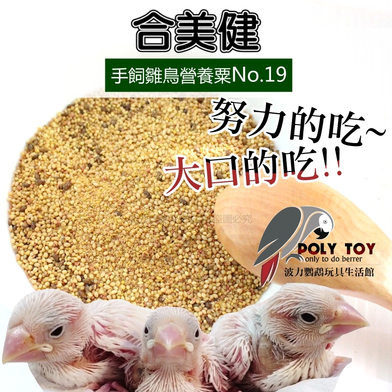 合美健 NO.19 雛鳥餵食飼料 手飼雛鳥營養粟 食穀性雀科飼料 波力鸚鵡玩具生活館