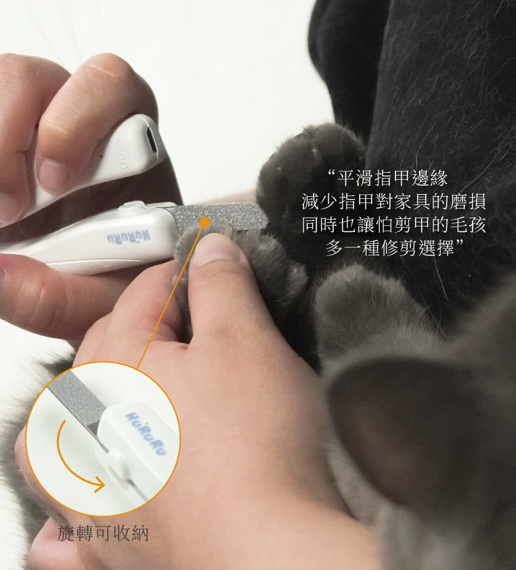寵物銼刀平滑指甲對家具的傷害