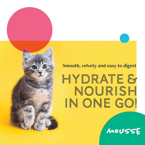 Daily Delight - Mousse系列 雞肉+三文魚 Chicken and Salmon (粉紫) 70g (每24罐優惠@$13, 可混其他肉絲或Mousse罐)