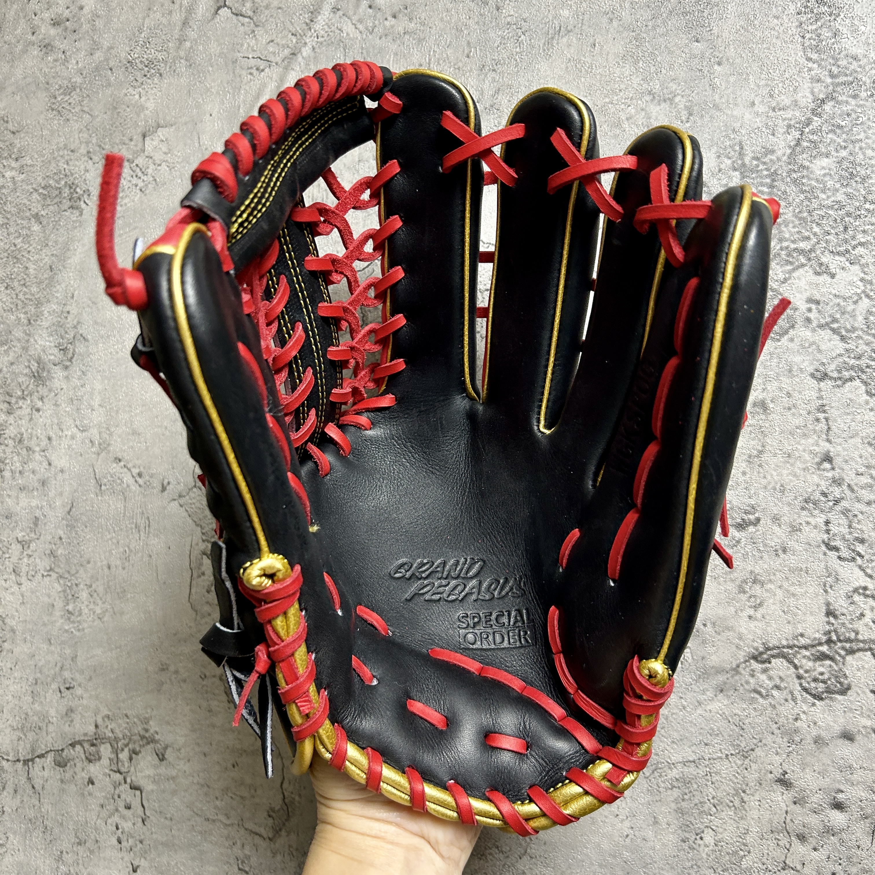 【照片分享】world-pegasus 硬式 外野手用 WGK4GP7