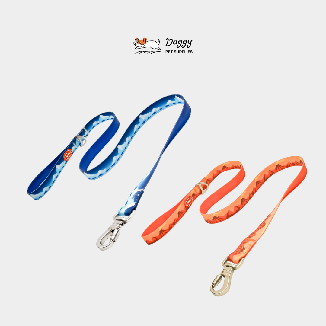 【 萊諾 laroo 】防水牽繩/項圈