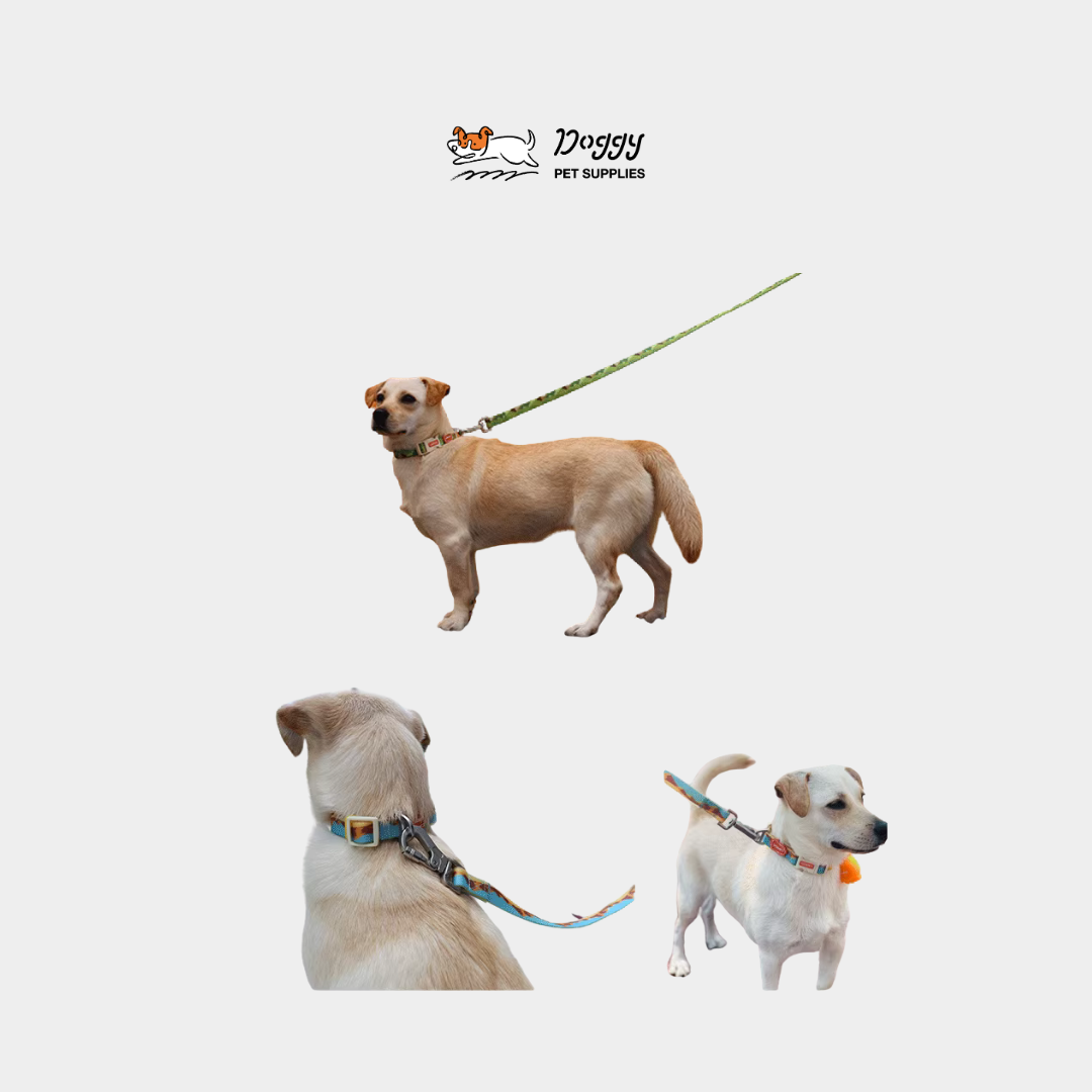 【 萊諾 laroo 】防水牽繩/項圈