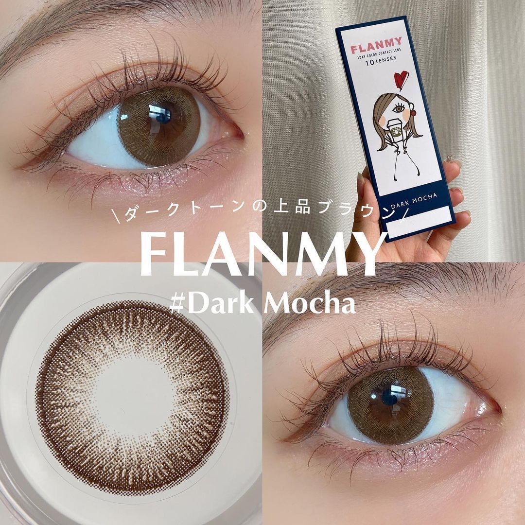Flanmy 1 Day (Dark Mocha)(10片)