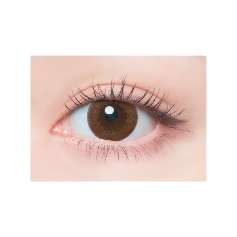 Flanmy 1 Day (Doughnut Brown)(10片)