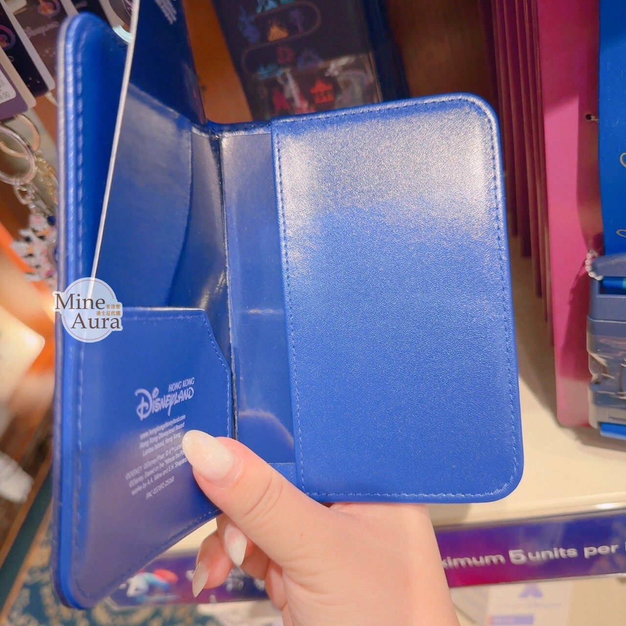 樂園限定 Skyline 主題 城堡 圖案 護照套 -香港迪士尼樂園