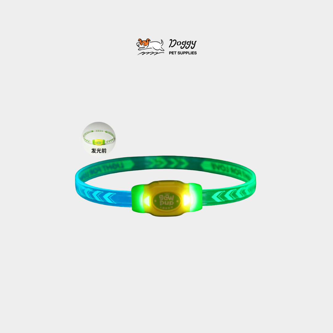 【 萊諾 laroo 】果凍發光項圈