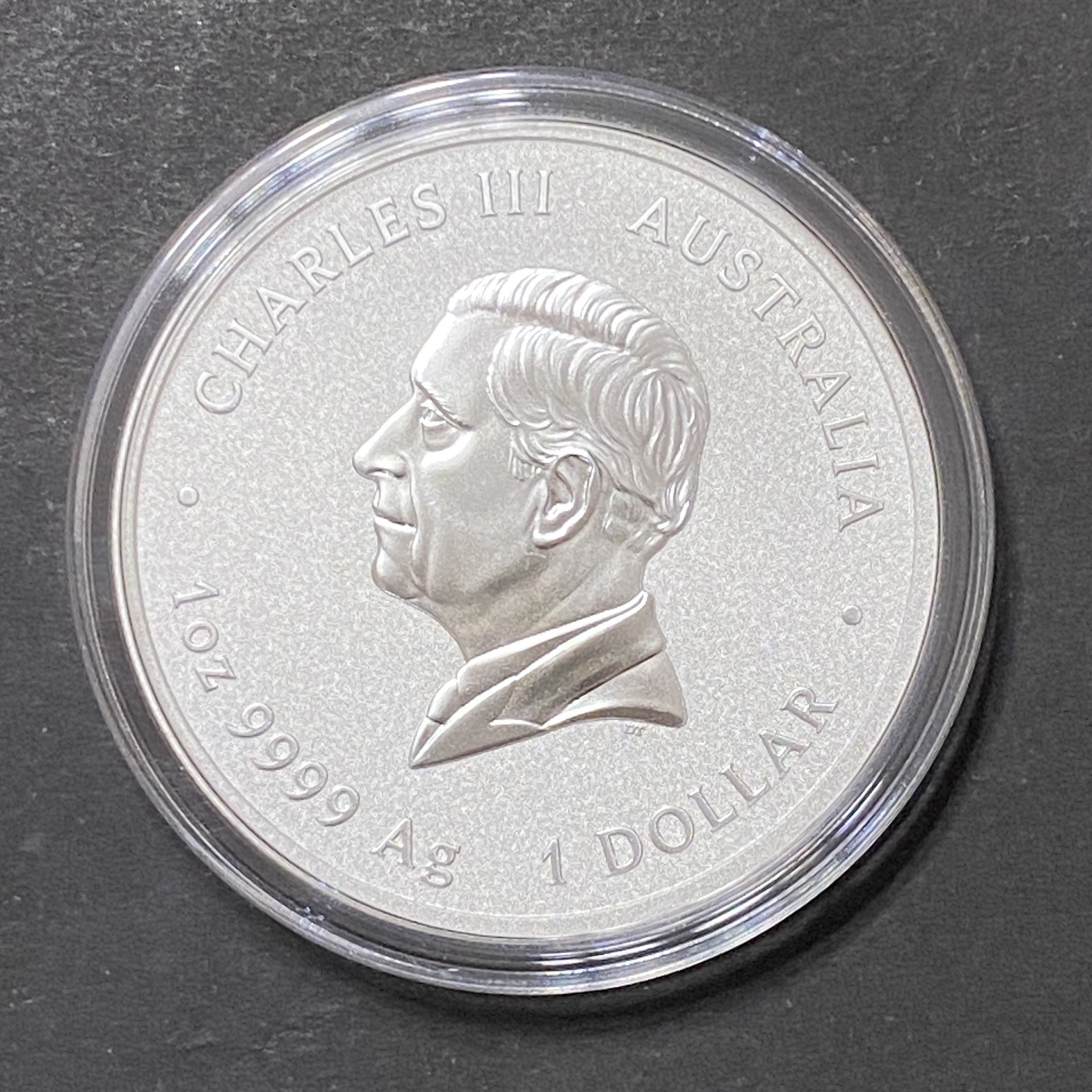 2025 Australian Year of the Snake 1 oz Silver Coin (Third Series) (Dragon Privy Mark) 99.99% silver