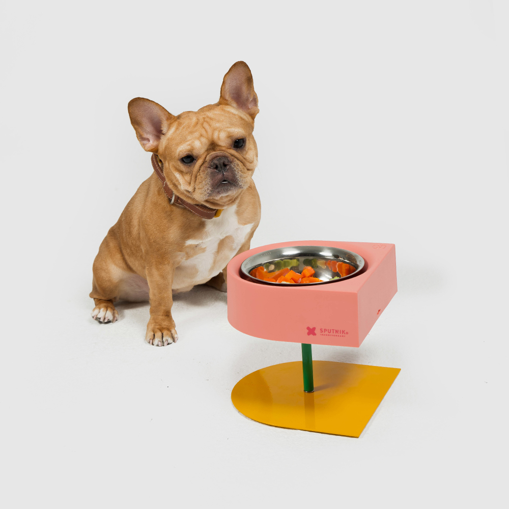 10TH YEAR︱增高防蟻碗 - 粉色