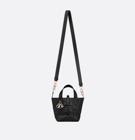 Dior Toujours Vertical Nano Tote Bag
