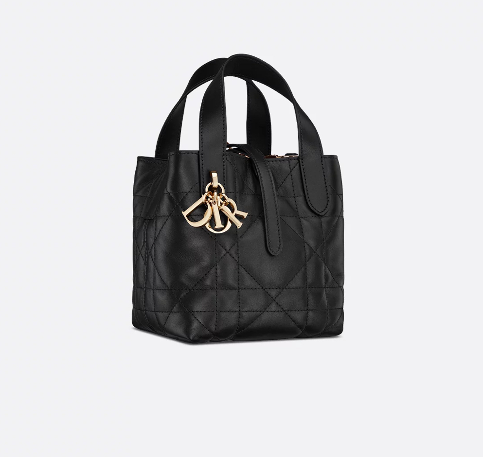 Dior Toujours Vertical Nano Tote Bag