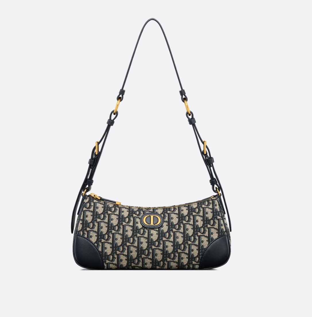 Dior 30 Montaigne Wanderlust Mini Bag