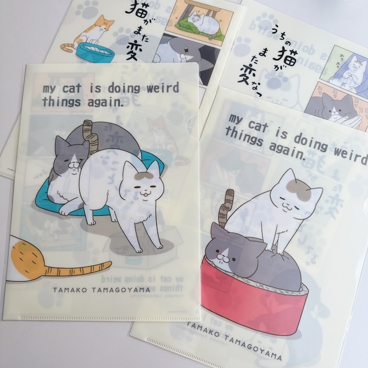 我的貓又做了奇怪的事 A4資料夾 兩款