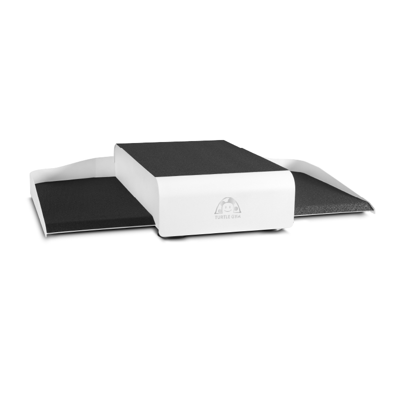 TURTLEGYM 特多勁 TPA05舒活輪椅律動機