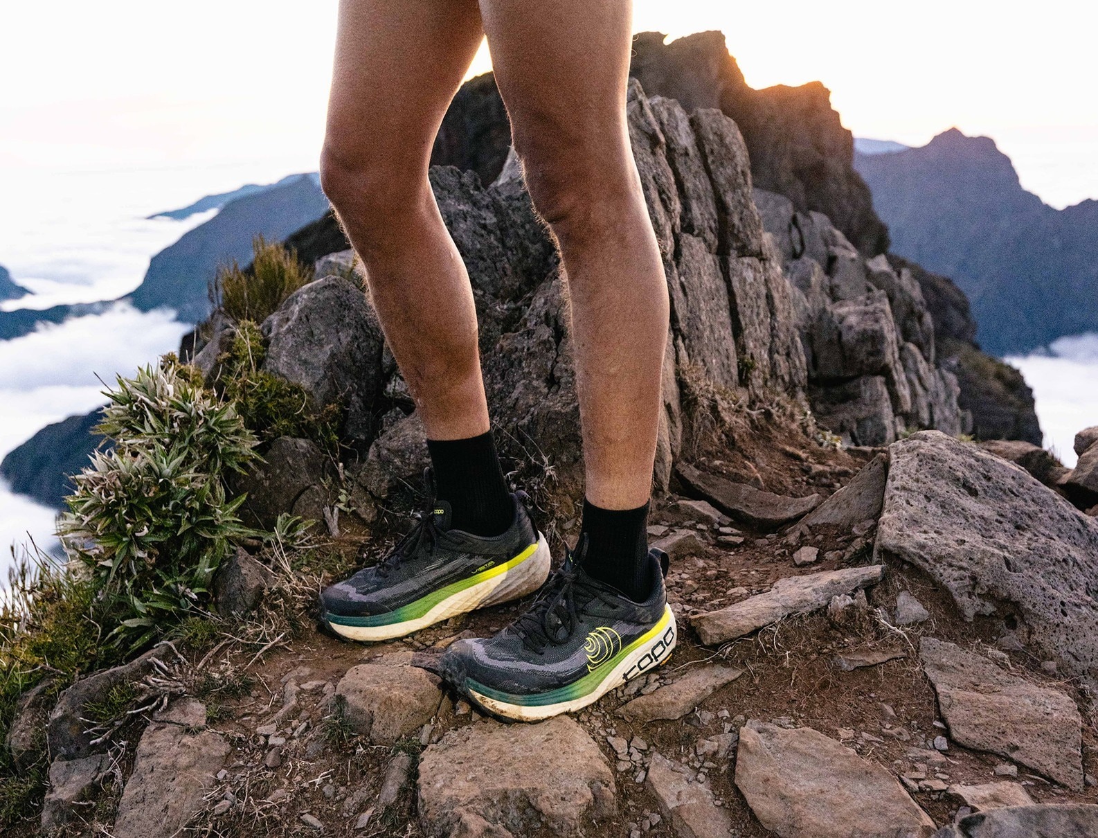 [Topo Athletic] 男款 Vista 越野鞋