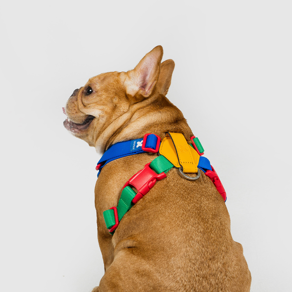 10TH YEAR︱胸背帶 - 拼色