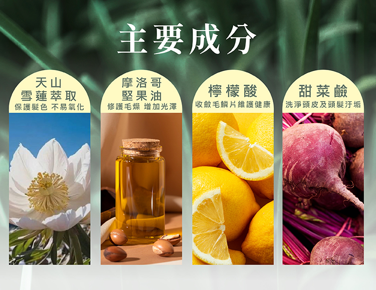 無香洗髮精,草本洗髮精推薦,敏感頭皮專用洗髮精,天然成分洗髮精,弱酸性洗髮精,染燙修護洗髮精,可加精油洗髮精