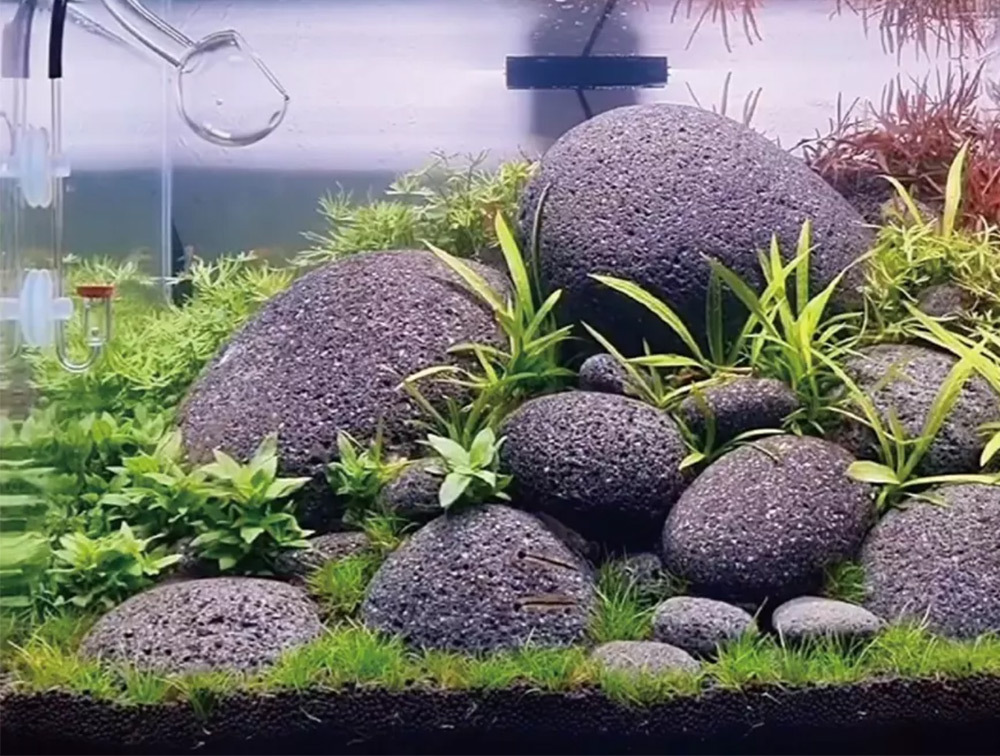 黑麥飯原石來自天然礦石，具備卓越的水質淨化力，有效吸附水中雜質與重金屬