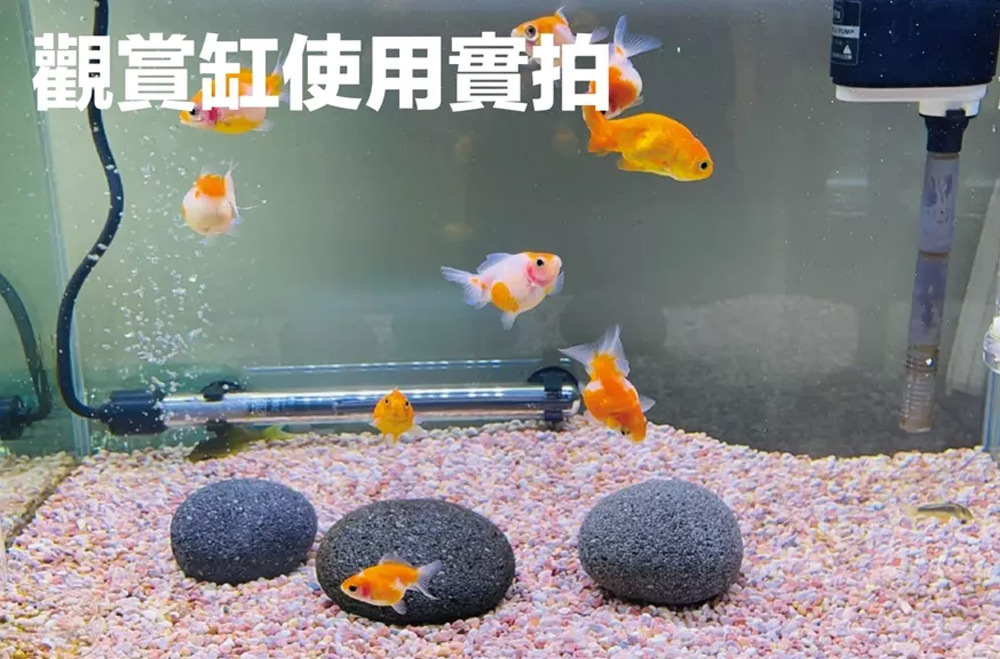 有效提升溶氧量，活化缸內水質，降低異味與污染，讓魚缸與龜缸環境更加穩定，減少水質維護難度