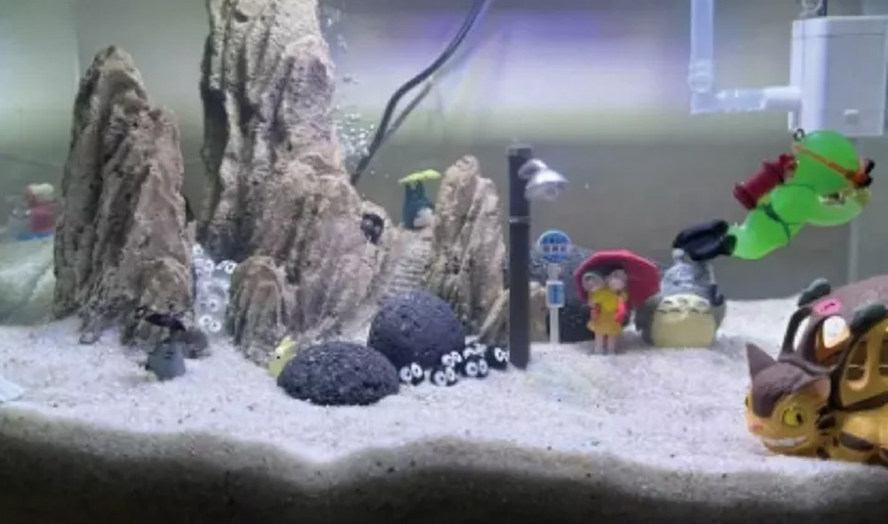 黑麥飯原石不僅是優質濾材，更能作為魚缸、龜缸的天然造景素材