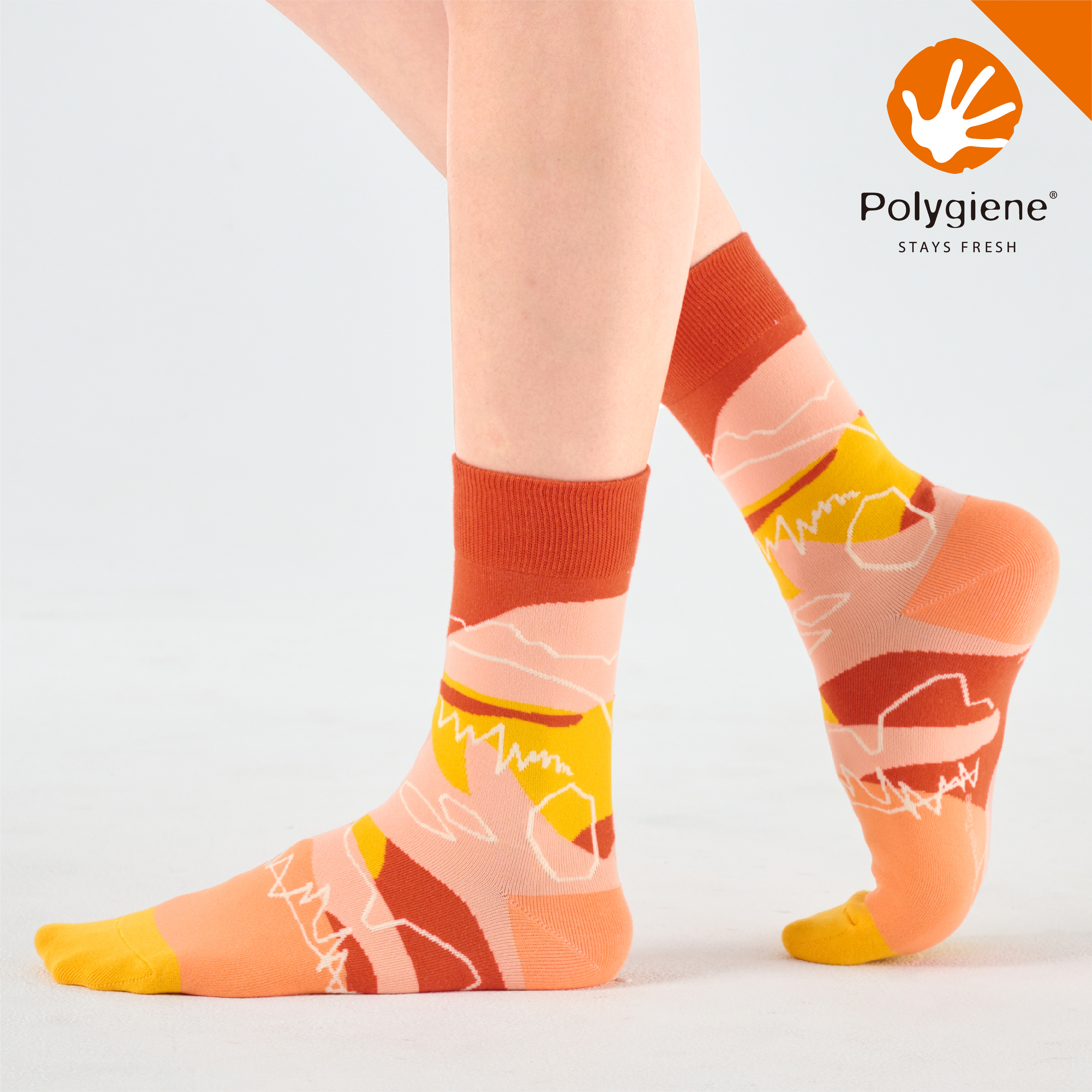 眺望山谷〈橘〉