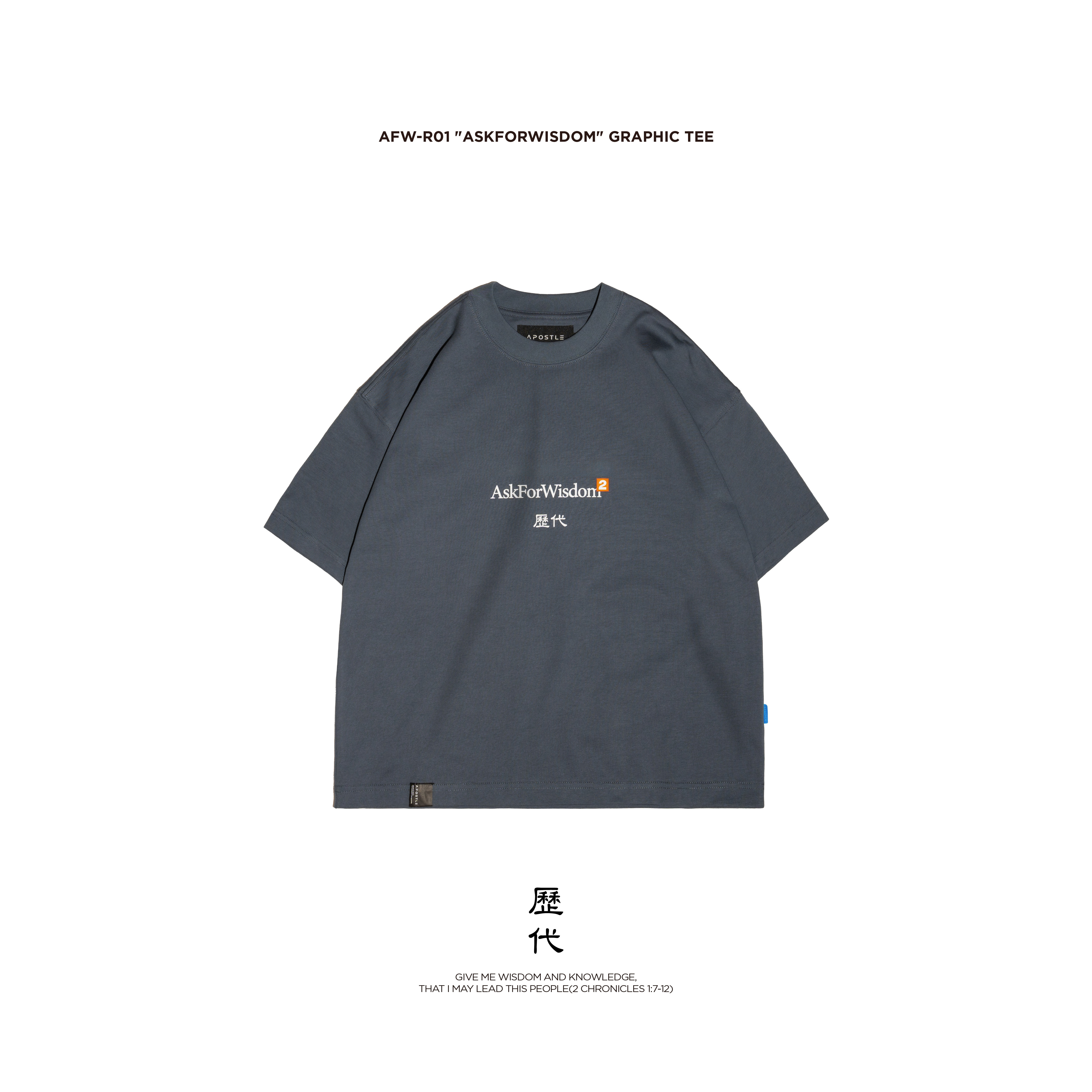 AFW-R01 "AskForWisdom" Graphic TEE - Gray Blue