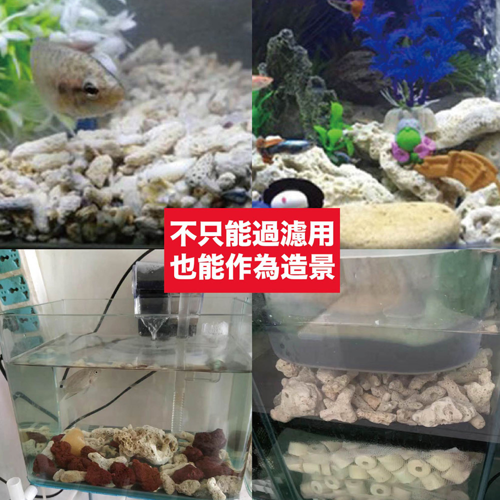 珊瑚石具多孔結構有助於硝化菌繁殖，分解氨氮，淨化水質，讓魚隻健康成長，是底砂與濾材的最佳選擇