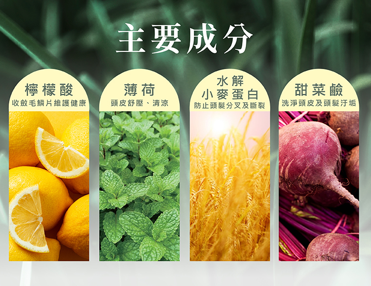 頭皮出油,頭皮異味,頭皮搔癢,洗髮精推薦,頭皮油膩,夏天頭皮悶熱怎麼辦,頭皮扁塌油頭,夏天洗髮精推薦,台灣氣候專用,機車族推薦,夏日清爽,清涼感洗髮精推薦,控油洗髮精,去味洗髮精推薦,抗菌洗髮精天然,頭皮清爽,去頭臭洗髮精,薄荷洗髮精舒緩,海鹽洗髮精推薦,薄荷洗髮精,植萃控油,