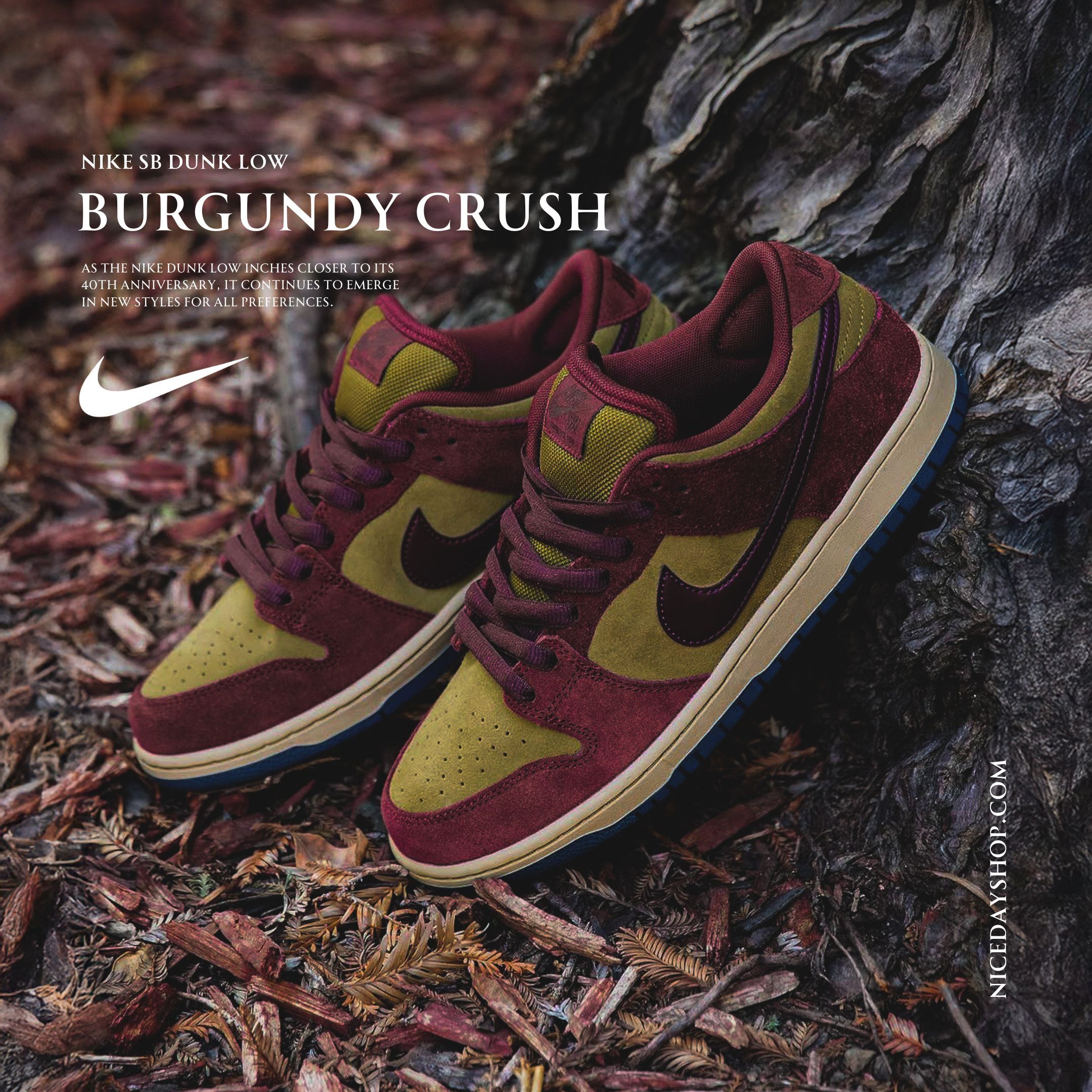 NICEDAY 現貨 Nike SB Dunk Low Pro Burgundy 勃根地 紅酒 酒紅 麂皮 復古 紅 紅黃 HQ1625-600