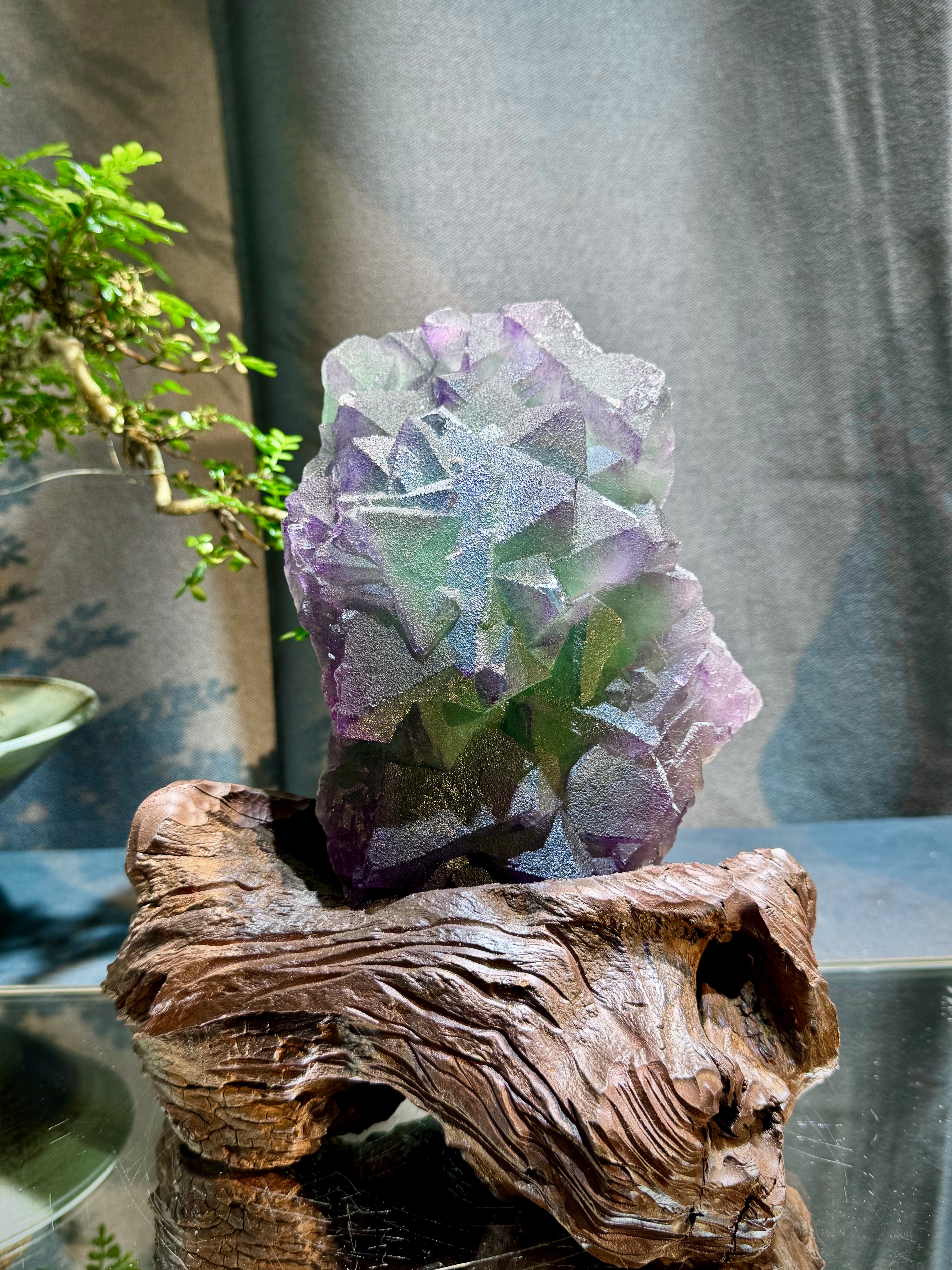 紫綠螢石原礦擺件 5907