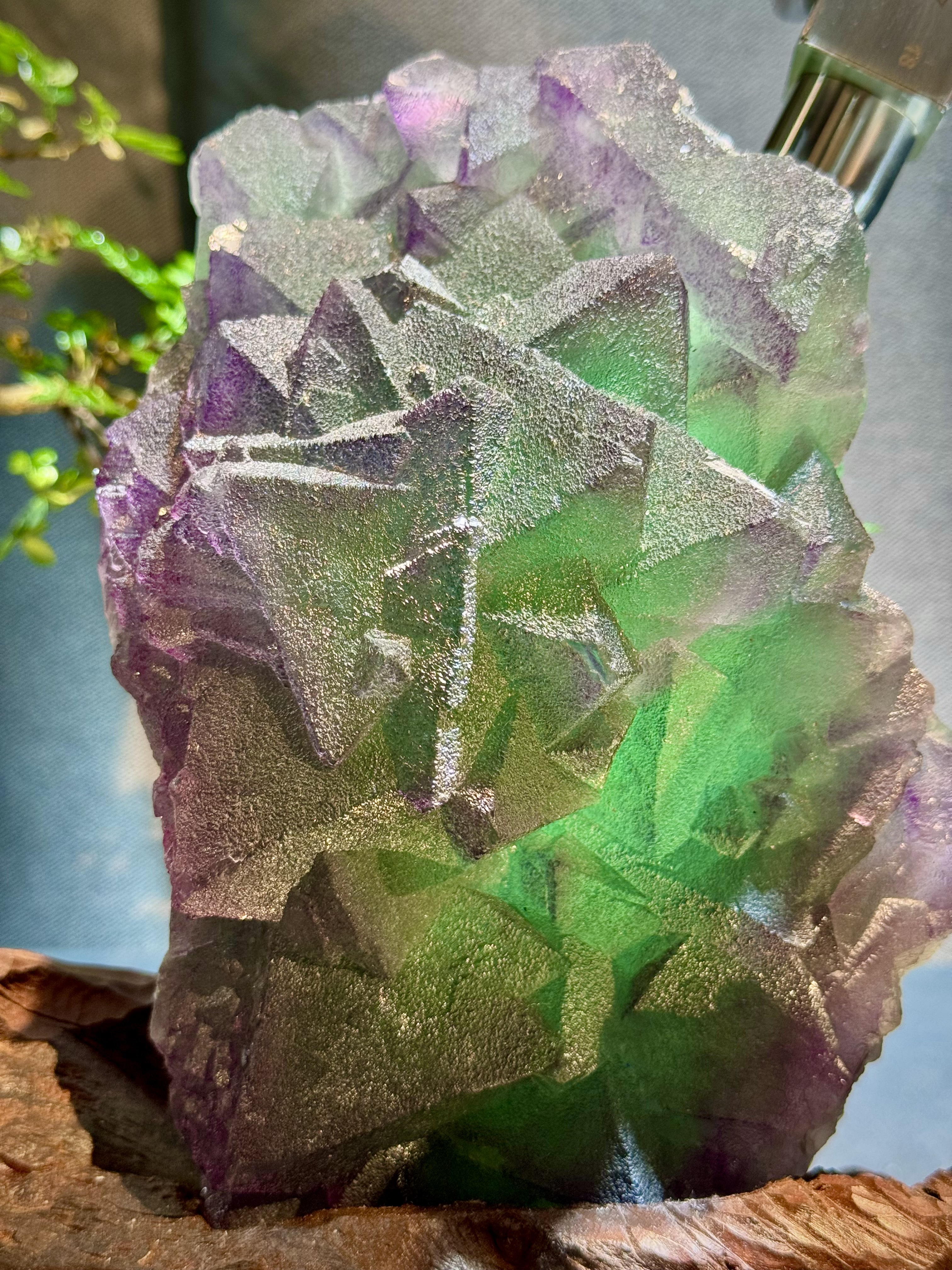 紫綠螢石原礦擺件 5907