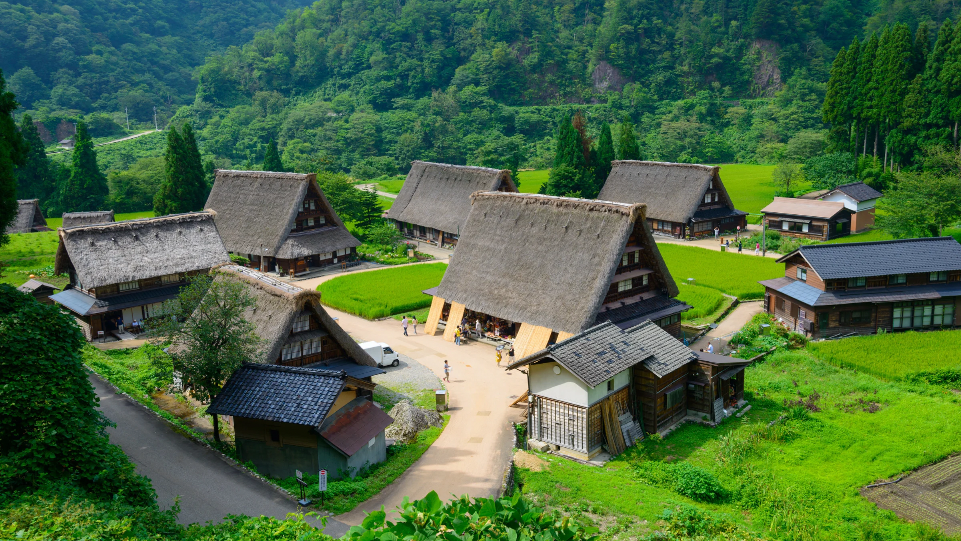 小暑,夏至旅遊,二十四節氣,中藥雞湯,養生飲品,