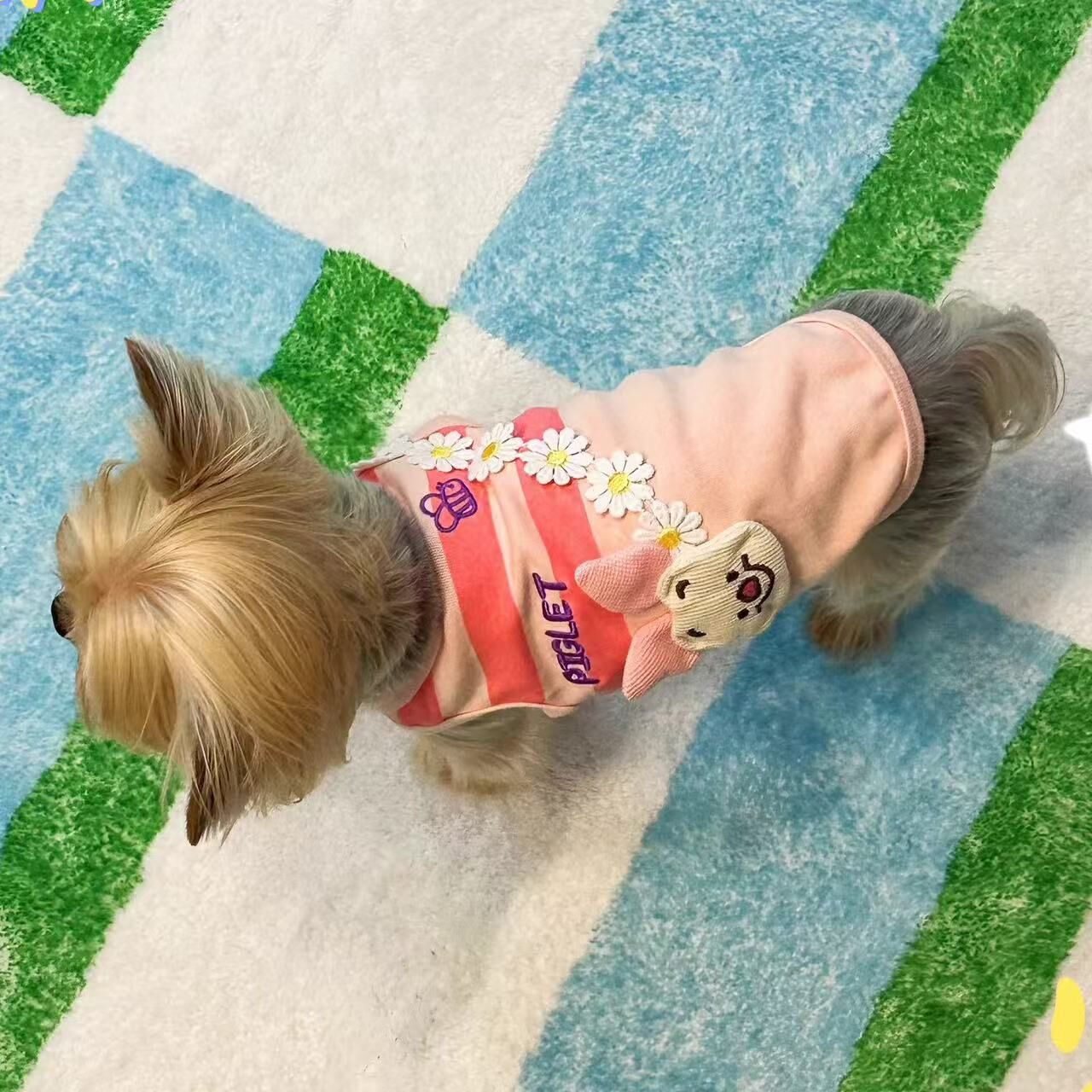 宠物衣服维尼小猪卡通背心薄款