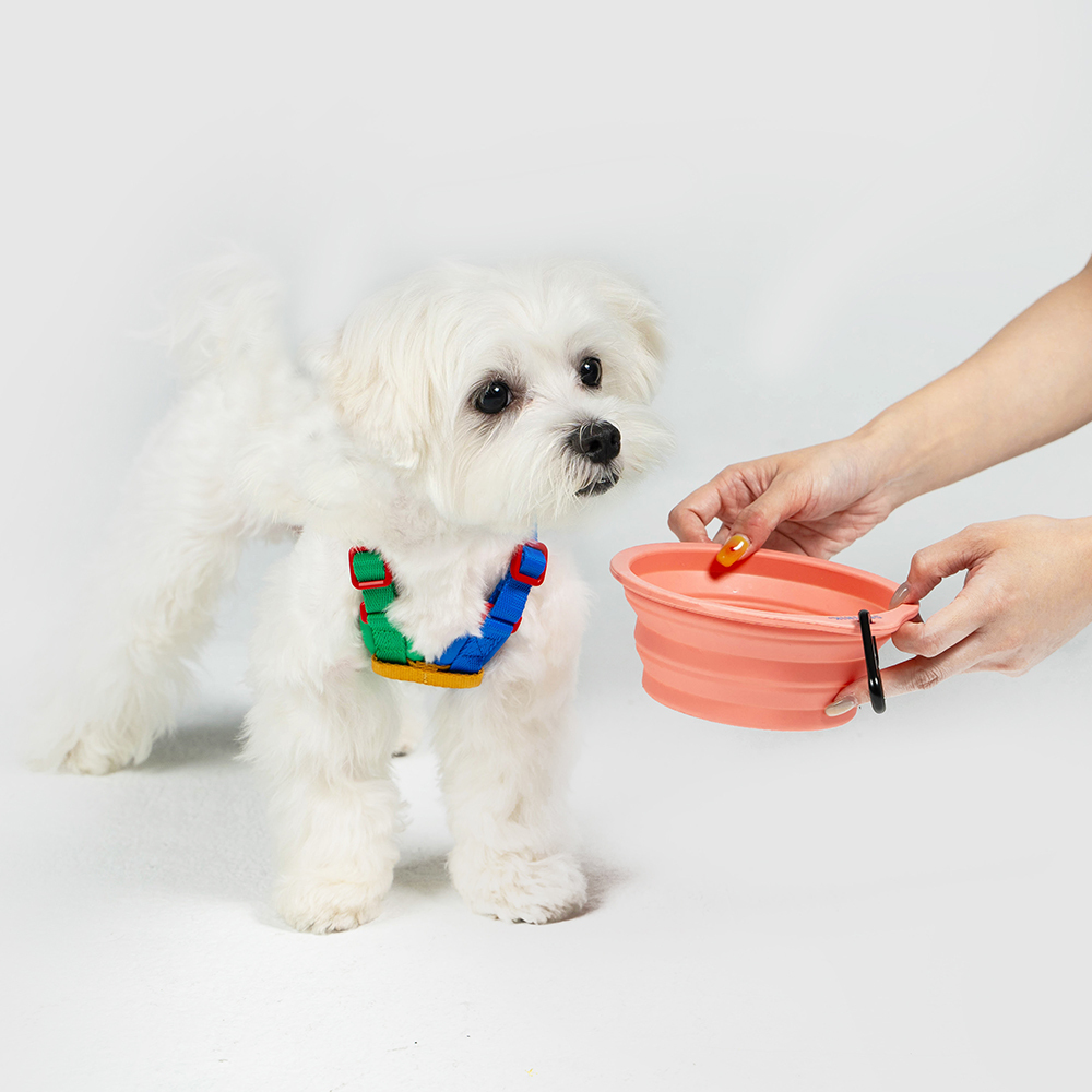 10TH YEAR︱寵物折疊碗 - 粉色