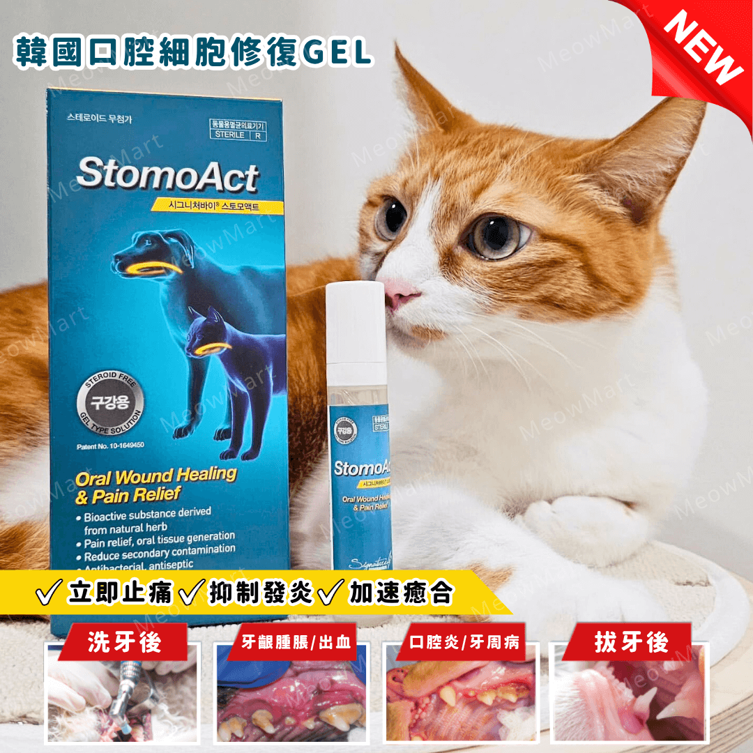 StomoAct®韓國寵物口腔細胞修復GEL 10g