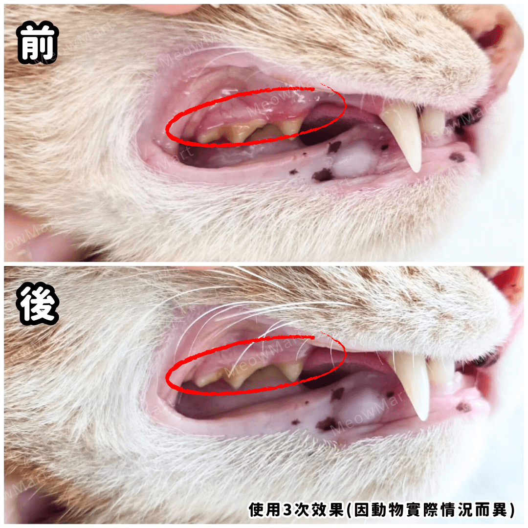 StomoAct®韓國寵物口腔細胞修復GEL 10g