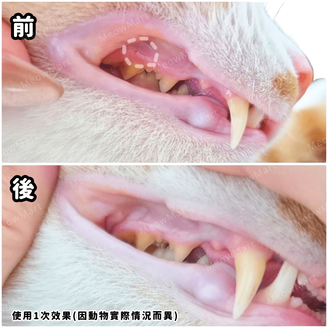 StomoAct®韓國寵物口腔細胞修復GEL 10g