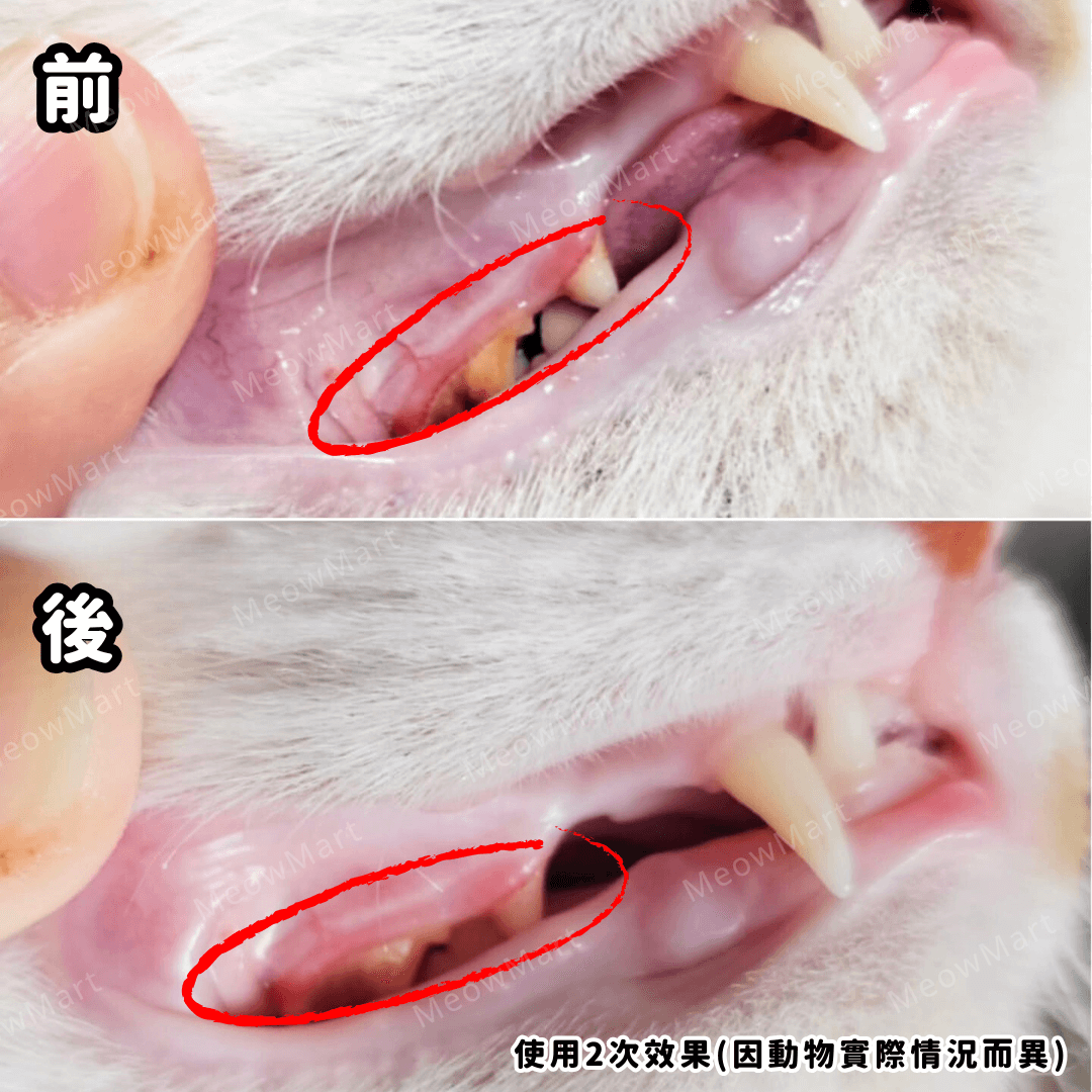 StomoAct®韓國寵物口腔細胞修復GEL 10g