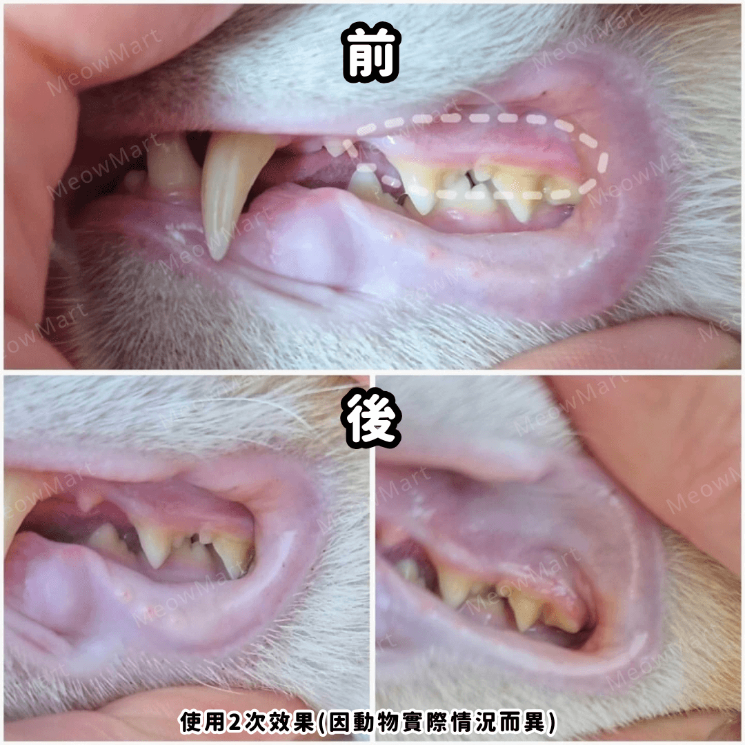 StomoAct®韓國寵物口腔細胞修復GEL 10g