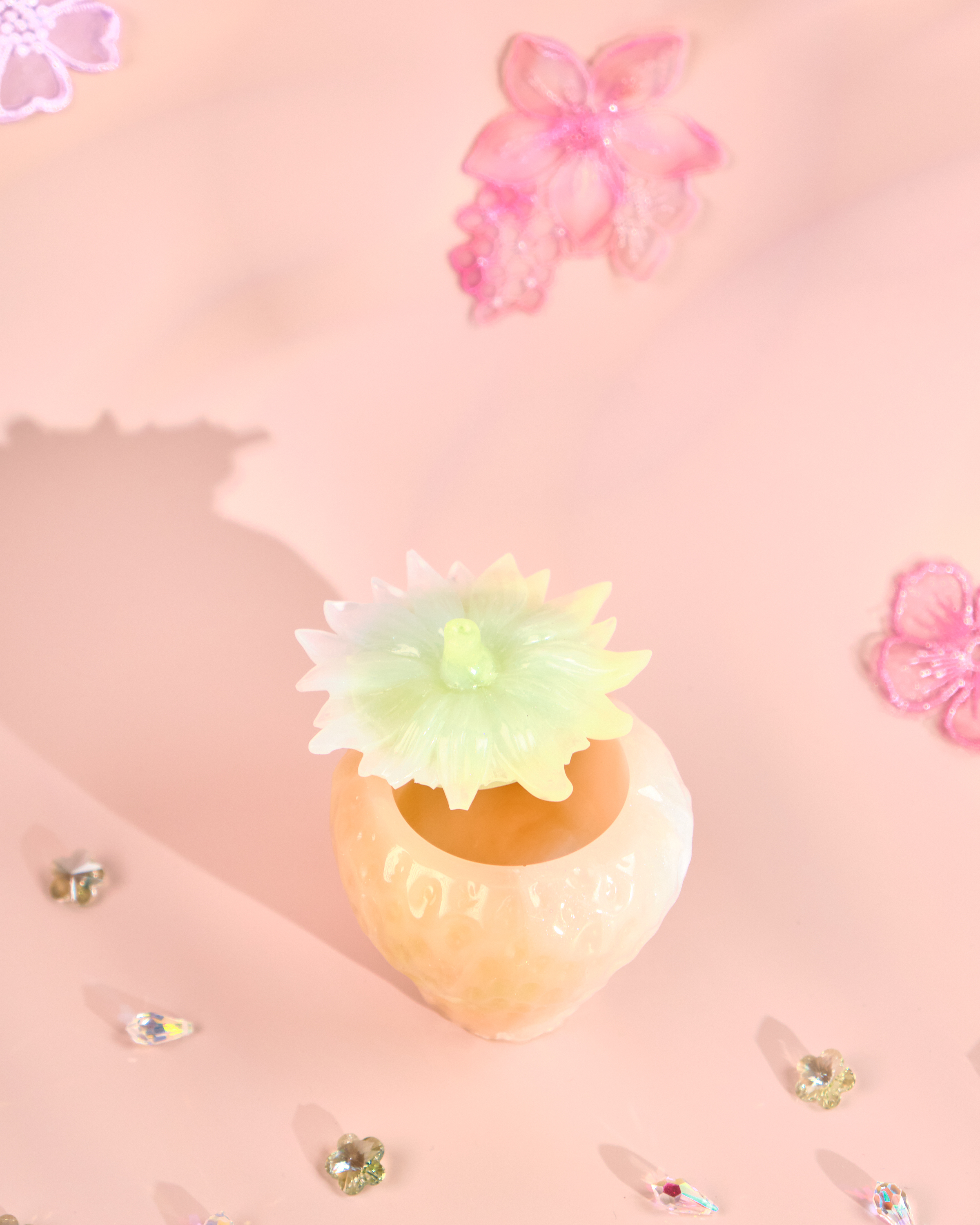 12000 Strawberry Jewellery Resin Box