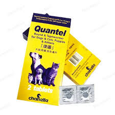 犬貓用廣效除蟲片(2片)